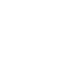 Ikona